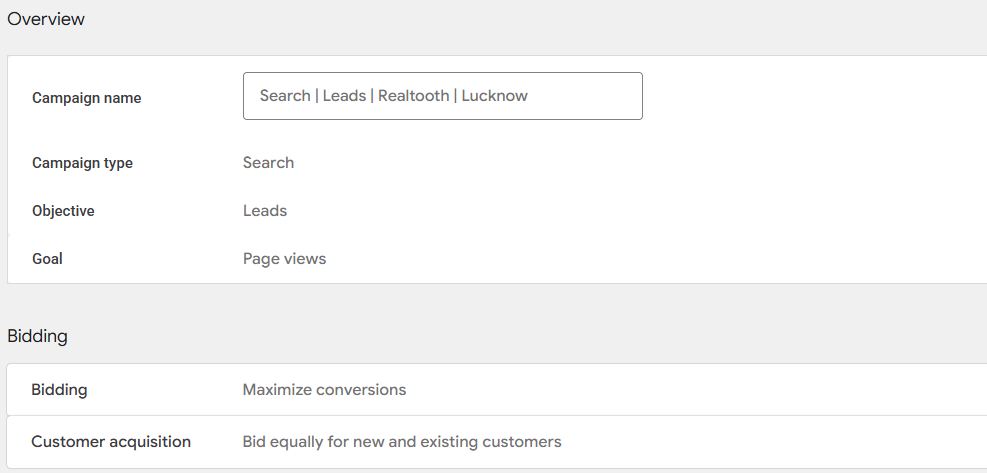 Google Ads Campaign Strategy — Campaign overview