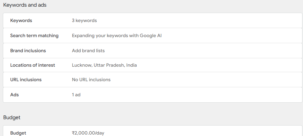 Google Ads Campaign Strategy — Keywords, ads & budget